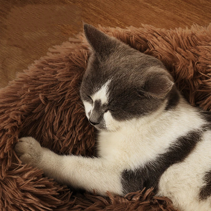 SnuggleDonut Dog/Cat  Bed