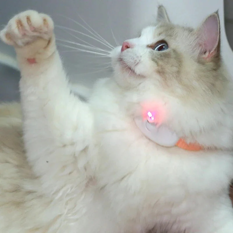 Laser Play Collar for Cats