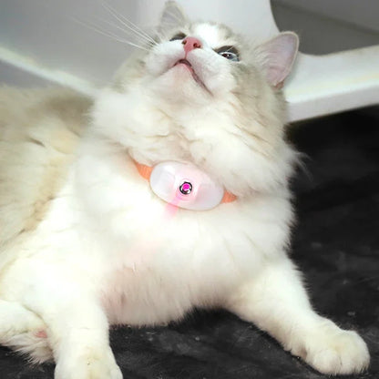 Laser Play Collar for Cats